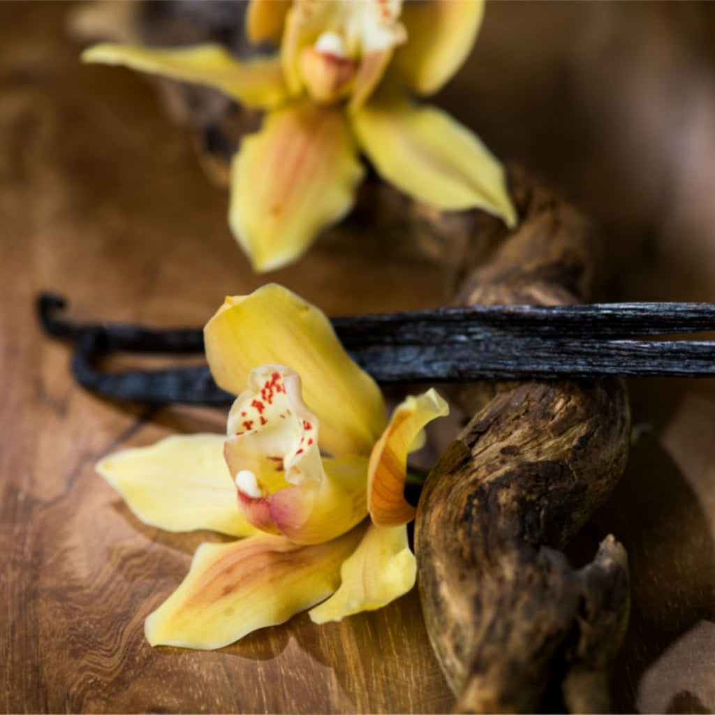 Vanilla Dark Balsamic Vinegar