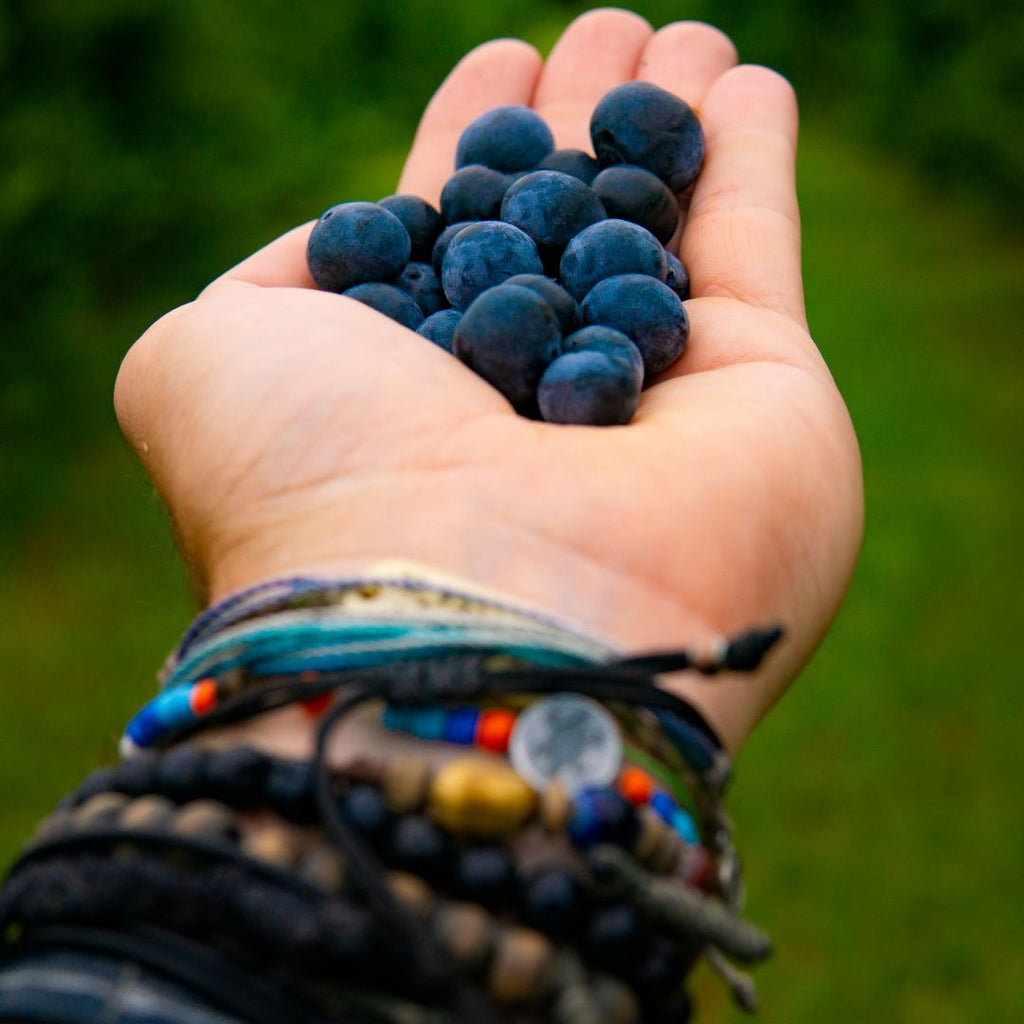 Wild Blueberry Dark Balsamic