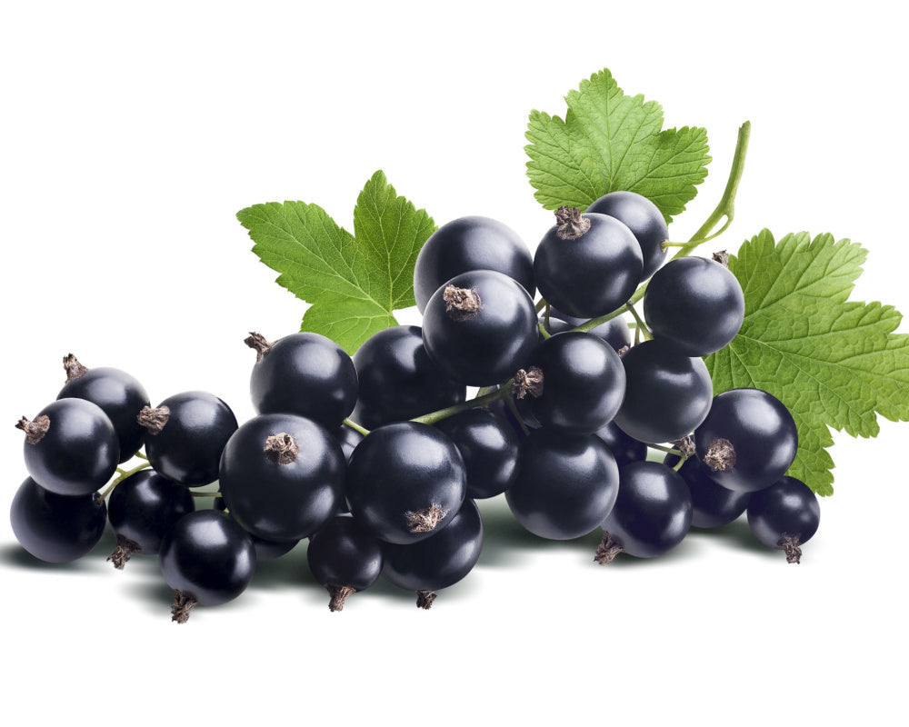 Aged Black Currant Dark Balsamic