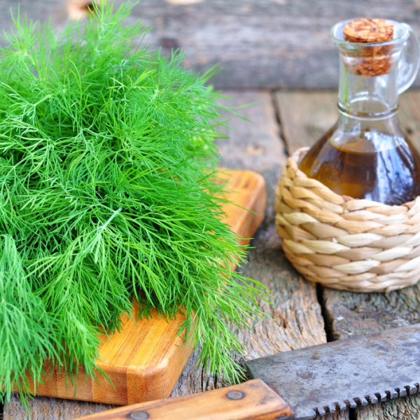 Dill Olive Oil