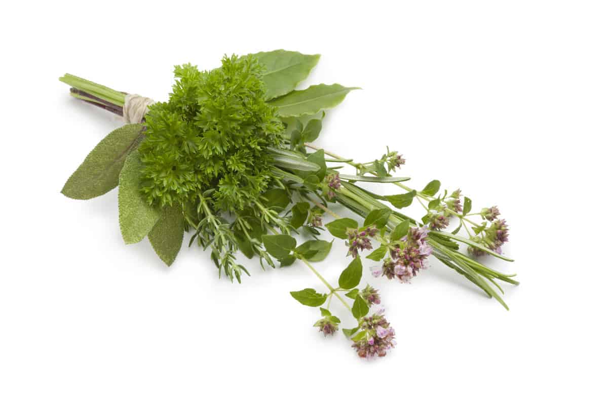 Herbs de Provence Olive Oil