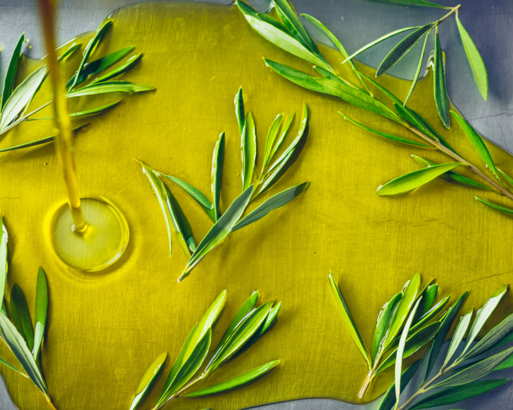 Rosemary Fused Olive Oil