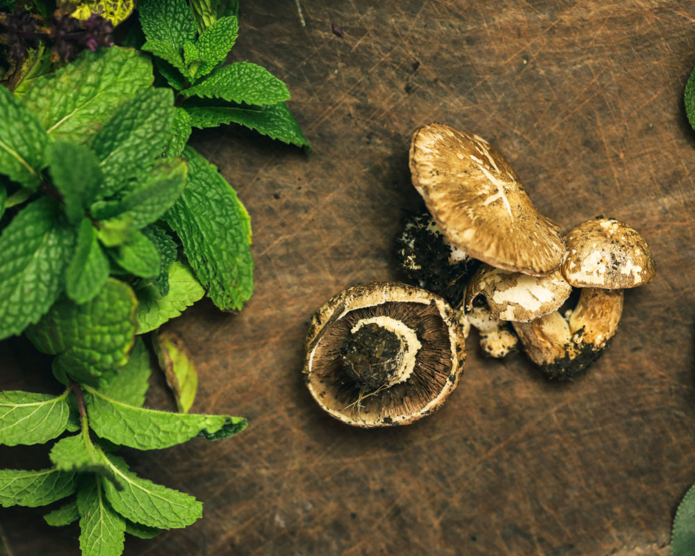 Wild Mushroom and Sage Olive Oil